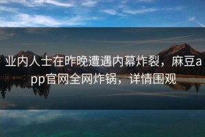 业内人士在昨晚遭遇内幕炸裂，麻豆app官网全网炸锅，详情围观