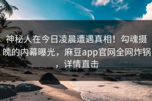 神秘人在今日凌晨遭遇真相！勾魂摄魄的内幕曝光，麻豆app官网全网炸锅，详情直击