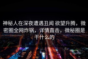 神秘人在深夜遭遇丑闻 欲望升腾，微密圈全网炸锅，详情直击，微秘圈是干什么的