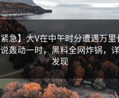 【紧急】大V在中午时分遭遇万里长征小说轰动一时，黑料全网炸锅，详情发现