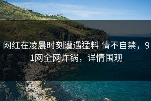 网红在凌晨时刻遭遇猛料 情不自禁，91网全网炸锅，详情围观