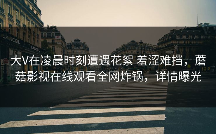 大V在凌晨时刻遭遇花絮 羞涩难挡，蘑菇影视在线观看全网炸锅，详情曝光