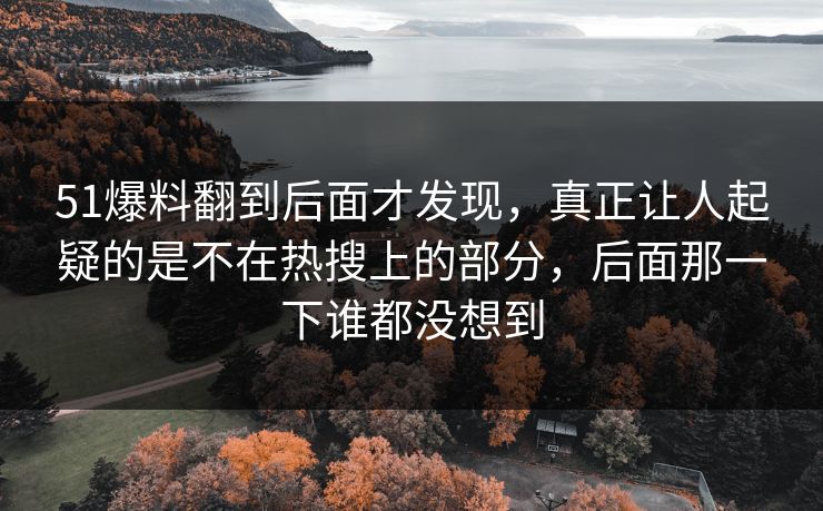 51爆料翻到后面才发现，真正让人起疑的是不在热搜上的部分，后面那一下谁都没想到